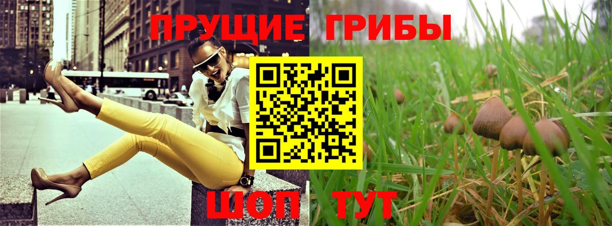 Псилоцибиновые грибы Cubensis Кимры